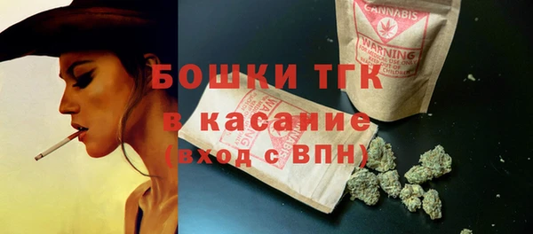 гидра Гусь-Хрустальный