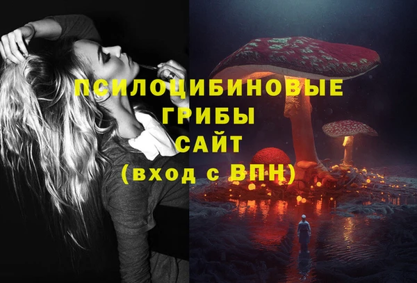 хмурый Горнозаводск