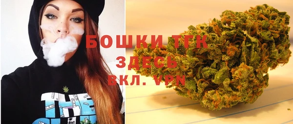 хмурый Горнозаводск